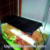 MIẾNG CHE SÁNG SHADE CHO ĐÈN VIVID 2 - anh 1 MIẾNG CHE SÁNG SHADE CHO ĐÈN VIVID 2 - anh 1