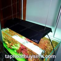 MIẾNG CHE SÁNG SHADE CHO ĐÈN VIVID 2