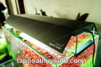 MIẾNG CHE SÁNG SHADE CHO ĐÈN WRGB2