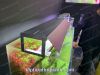 ĐÈN LED CAO CẤP NALA RGB E900 - anh 3 ĐÈN LED CAO CẤP NALA RGB E900 - anh 3