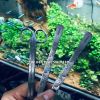NHÍP CHIHIROS CONG PRO 25cm Curved tweezers - anh 3 NHÍP CHIHIROS CONG PRO 25cm Curved tweezers - anh 3
