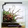 ĐÈN CHIHIROS C2 - ĐÈN THỦY SINH CHO BỂ 20 - 40CM - anh 2
