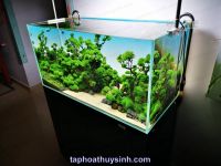 LIGHT SCREEN DET CAO CẤP - BACKROUND ĐÈN NỀN LED SIZE 200 x 60 cm