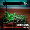CHIHIROS C2 RGB - ĐÈN THỦY SINH CHO HỒ NHỎ - anh 2