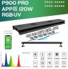 ĐÈN WEEK P900 PRO - anh 1 ĐÈN WEEK P900 PRO - anh 1
