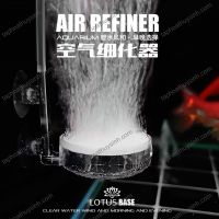 ĐẦU SỦI OXY MIN SIÊU ĐẸP