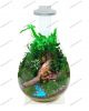 Chihiros Magnetic lamp+wabi kusa stand+glass pot - anh 1 Chihiros Magnetic lamp+wabi kusa stand+glass pot - anh 1
