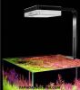 ĐÈN NETLEA AT3S 40w PRO+ model mới 2023 cải tiếng chip led - anh 4 ĐÈN NETLEA AT3S 40w PRO+ model mới 2023 cải tiếng chip led - anh 4