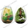 Hồ cá tiểu cảnh thủy tinh - Gex Glass Aquarium Candle - anh 2 Hồ cá tiểu cảnh thủy tinh - Gex Glass Aquarium Candle - anh 2