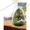 Hồ cá tiểu cảnh thủy tinh - Gex Glass Aquarium Candle - anh 3 Hồ cá tiểu cảnh thủy tinh - Gex Glass Aquarium Candle - anh 3
