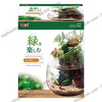Hồ cá tiểu cảnh thủy tinh - Gex Glass Aquarium Slope