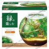 Hồ cá tiểu cảnh thủy tinh - Gex Glass Aquarium Sphere - anh 1