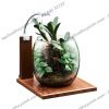 Đế lót bằng gỗ cho hồ tiểu cảnh thủy tinh - Gex Glass Base Maple 200 - anh 4