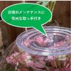 Nắp đậy cho hồ tiểu cảnh thủy tinh - Gex Glass Top Round - anh 2 Nắp đậy cho hồ tiểu cảnh thủy tinh - Gex Glass Top Round - anh 2