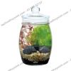 Bộ hồ tiểu cảnh thủy tinh - Gex Bottlium Nature Set Brown - anh 2