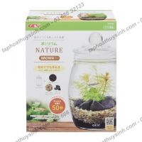 Bộ hồ tiểu cảnh thủy tinh - Gex Bottlium Nature Set Brown