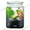 Bộ hồ tiểu cảnh thủy tinh - Gex Bottlium Nature Set Black - anh 2 Bộ hồ tiểu cảnh thủy tinh - Gex Bottlium Nature Set Black - anh 2
