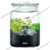 Bộ hồ tiểu cảnh thủy tinh - Gex Bottlium Nature Set Black - anh 3 Bộ hồ tiểu cảnh thủy tinh - Gex Bottlium Nature Set Black - anh 3