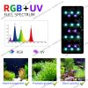 Đèn led kẹp Week RGB UV Mini 9 Pro - anh 2 Đèn led kẹp Week RGB UV Mini 9 Pro - anh 2
