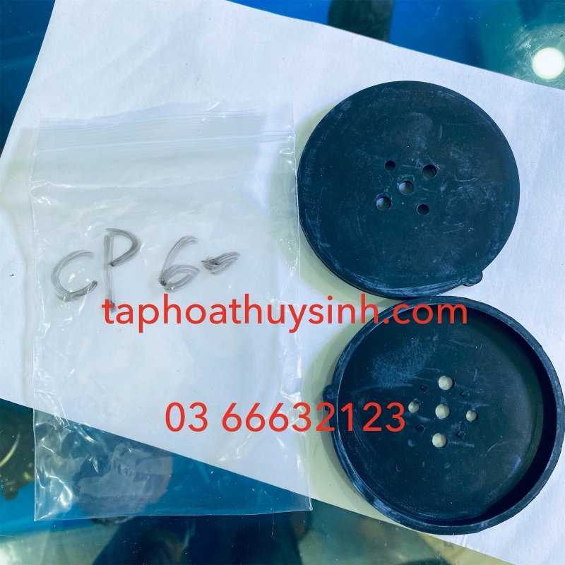 DA BƠM OXY HAILEA CP60 CP100 CP120 V60 DA BƠM OXY HAILEA CP60 CP100 CP120 V60
