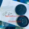 DA BƠM OXY HAILEA CP60 CP100 CP120 V60 - anh 1 DA BƠM OXY HAILEA CP60 CP100 CP120 V60 - anh 1