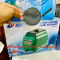 DA BƠM MÁY OXY RESUN LP40 LP60 LP100 màn bơm oxy thay thế