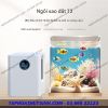 CHILLER MINI T2 chuyên dùng cho bể mini nano thủy sinh cá biển sứa biển- bản nâng cấp hoàn chỉnh từ T1 cái tiến nhiều cái hay hơn. - anh 1