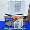 CHILLER MINI HAIELA HB60 mới 2025 cho bể mini - anh 1 CHILLER MINI HAIELA HB60 mới 2025 cho bể mini - anh 1