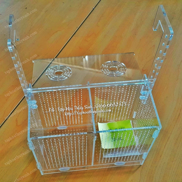Box tép đôi 20x10x16 Box tép đôi 20x10x16