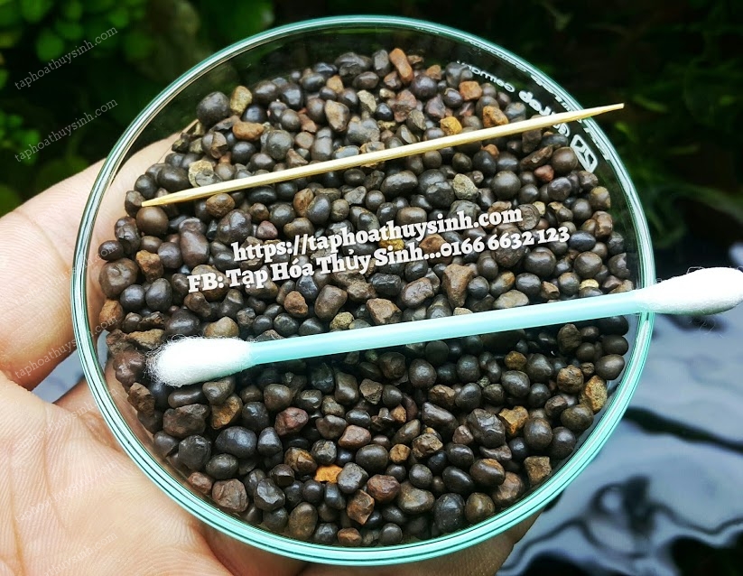Sỏi Suối nâu đen hạt tròn đẹp Sỏi Suối nâu đen hạt tròn đẹp