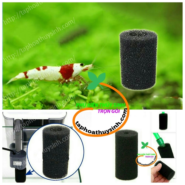 Bông mút bịt đầu in lọc ngăn hút tép con Bông mút bịt đầu in lọc ngăn hút tép con