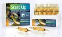 Start Up