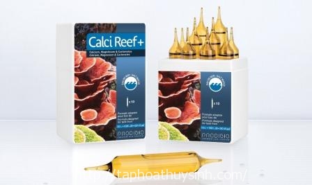 Calci Reef + Calci Reef +