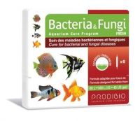 Bacteria & Fungi Fresh