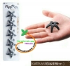Bộ xếp hình 5 sao bể tép - anh 2 Bộ xếp hình 5 sao bể tép - anh 2