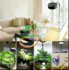 Kệ gỗ Bamboo đèn led - anh 2 Kệ gỗ Bamboo đèn led - anh 2