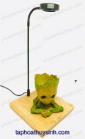 Kệ gỗ Bamboo đèn led