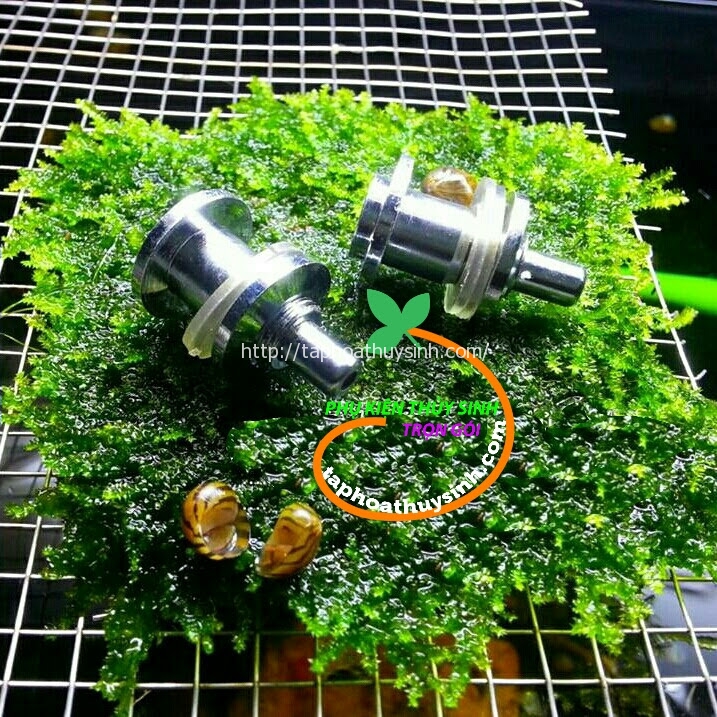 Ốc rút cáp trụ Ốc rút cáp trụ