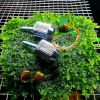Ốc giữ cáp vào máng đèn - anh 1 Ốc giữ cáp vào máng đèn - anh 1