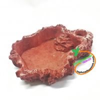 Chén đựng thức ăn cho tép 8cm