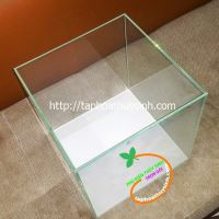 Hồ cubic kính siêu trong nhập khẩu nguyên chiếc