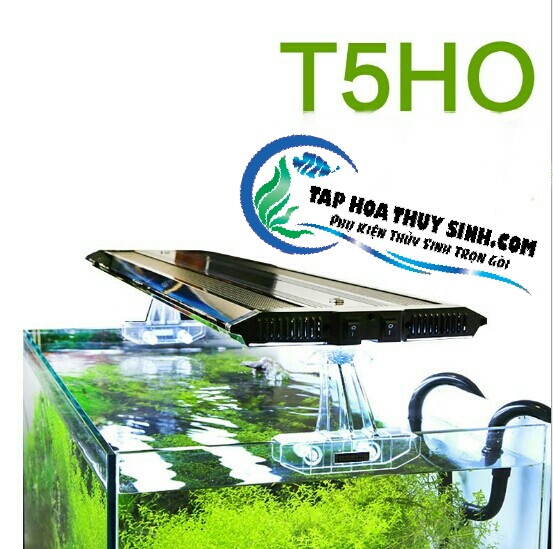ĐÈN TRIPLE H ĐÈN TRIPLE H