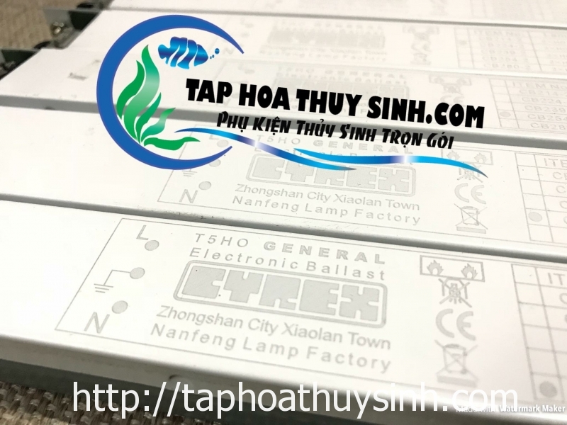TĂNG PHÔ CYREX THAY THẾ ĐÈN TRIPLE H TĂNG PHÔ CYREX THAY THẾ ĐÈN TRIPLE H