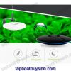 ZETLIGHT UFO ZE8000F – ĐÈN LED CHUYÊN DÙNG CHO BỂ THỦY SINH - anh 1