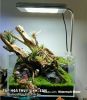 ĐÈN LED KẸP CHO HỒ NANO - anh 2