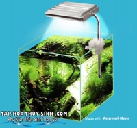 ĐÈN LED KẸP CHO HỒ NANO