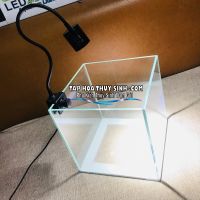 LED RỌI 5W cho bể biotop