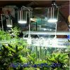 LED KẸP LON CHO THUỶ SINH BÁN CAN - anh 2