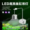 ĐÈN KẸP XINMA 7W - anh 1