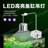 ĐÈN KẸP XINMA 7W